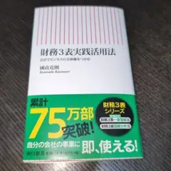 財務3表実践活用法 : 会計でビジネスの全体像をつかむ