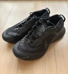 NIKE Pegasus Trail 3 Gore-Tex DC8794-001