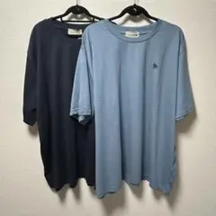【新品未使用】 紺 水色 胸刺繍Tシャツ 2枚セット