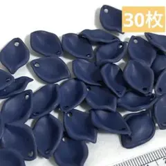 チャーム　B-505