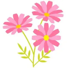 シベリア霊芝茶 60包