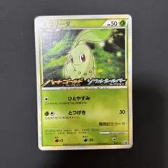 【2点目から200円引き】チコリータ　管理番号:25081801