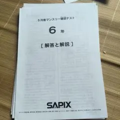 5月度マンスリー確認テスト 6年