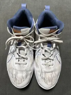 Item thumbnail for item 9152c352-3f39-4f83-98c2-c606eccb2b2f