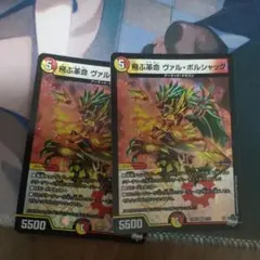 飛ぶ革命ヴァルボルシャック