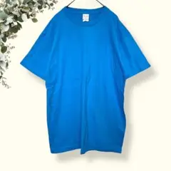 【M】激レアTシャツ/日本最南端波照間島/ヤギ/ぴみざぁ/バックプリント/ブルー