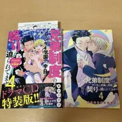 兄弟制度のあるヤンキー学園で今日も契りを迫られてます 4