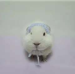 Item thumbnail for item bace3ede-a076-4710-ad79-8400f0446aa5