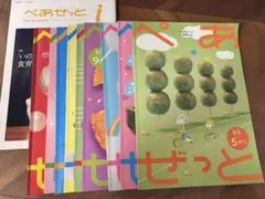 【Z会 年中】ぺあぜっと9冊・ぺあぜっとi 4冊の13冊セット