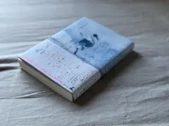 僕の悲しみで君は跳んでくれ