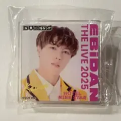 BUDDiiS KEVIN ケビン エビライ 2025 デコガチャ 1点