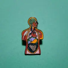 人体模型 ピンバッジ