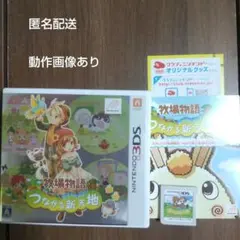 牧場物語 つながる新天地
