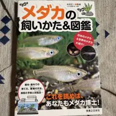 メダカの飼いかた&図鑑　本