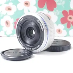 Item thumbnail for item f2680972-d389-4010-9f84-5a8d05e269fa