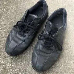 mizuno ウォーキングシューズ　ミズノ　靴　28