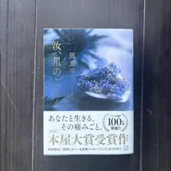 汝、星のごとく　文庫本