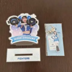 【塩澤美咲】ファイターズガール アクリルスタンド・アクリルキーホルダー