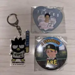 阪神タイガース　坂本誠志郎　セット