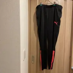 Item thumbnail for item 67748357-1544-4e80-afdf-04a6ad1cf1ac