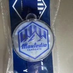 モンテディオ山形MY24_モンテディオブレスライト