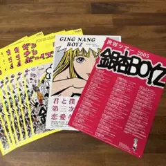 非売品 銀杏BOYZ フライヤー 10枚セット 峯田和伸 チラシ