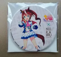 ウマ娘 NIIKAPPU HOKKAIDO　日高コラボ 缶バッジトウカイテイオー