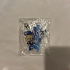 横浜DeNAベイスターズ 筒香嘉智 アクリル キーホルダー