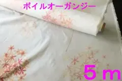 Item thumbnail for item 18757228-c582-44d1-9285-61c955e1de29