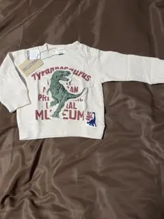 Item thumbnail for item cf1b82a3-666f-4cec-94de-ed38cf48a77d