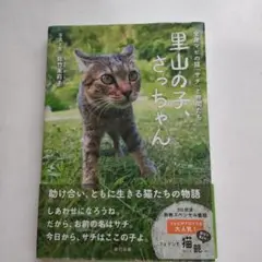 里山の子、さっちゃん