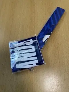 ライオンシティーセーラーズ　グッズ
