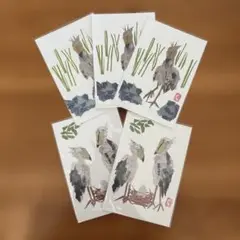 ハシビロコウ ポストカード×5枚