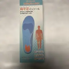扁平足インソール（Lサイズ25.5~26.5）