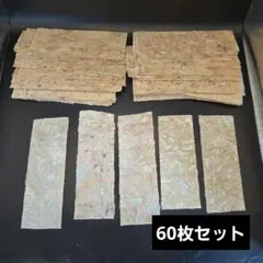 アワビ　シェルシート　60枚セット