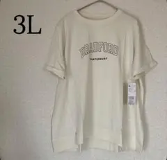 半袖 チュニック Tシャツ 綿100 コットン プルオーバー ロゴT トップス