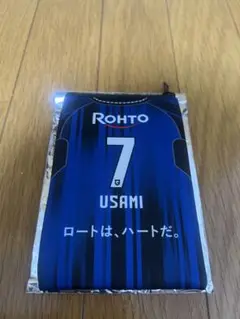 宇佐美貴史ロートスキンアクアポーチ　ガンバ大阪