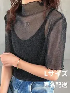 ブラック シアーメッシュトップ モックネック 夏半袖
