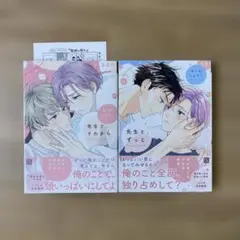 先生と、それから 先生と、ずっと 2巻セット