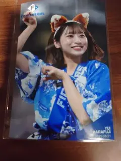 ファイターズガール　原藤由衣　ハイライトフォト