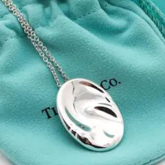 《美品》Tiffany u0026 Co ネックレス シルバー CAPRICORN