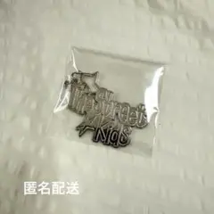 StrayKids 本国シーグリキーホルダー