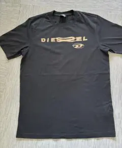 DIESEL メンズ Tシャツ Mサイズ