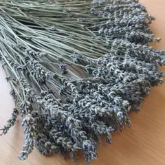 【無農薬❗】ラベンダー ドライフラワー 20〜30cm 100本