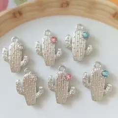 NO.1241 サボテンチャーム6個