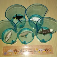 バンダイ　びっくら？たまごDXドラマチックおふろシリーズ　お風呂水族館 　全５種