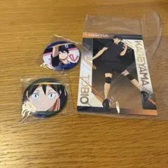 ハイキュー!! バッジ２個& ポストカード1枚付き
