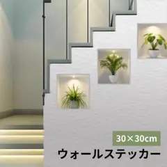 ♪ウォールステッカー♪ 3枚セット　壁紙 インテリア 壁飾 観葉植物 シール