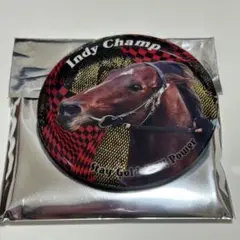 ステイゴールド一族缶バッジ　インディチャンプ