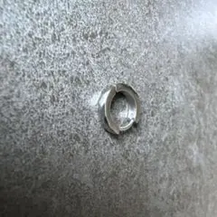 ライオンハート　ピアス(片耳用)